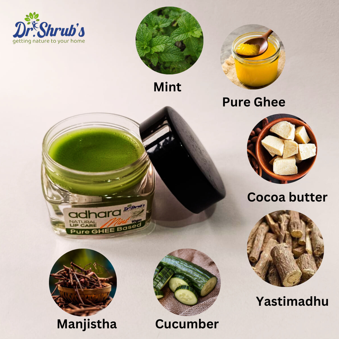 Dr.Shrub's Adhara- Pure ghee based lip balm- Mint flavour