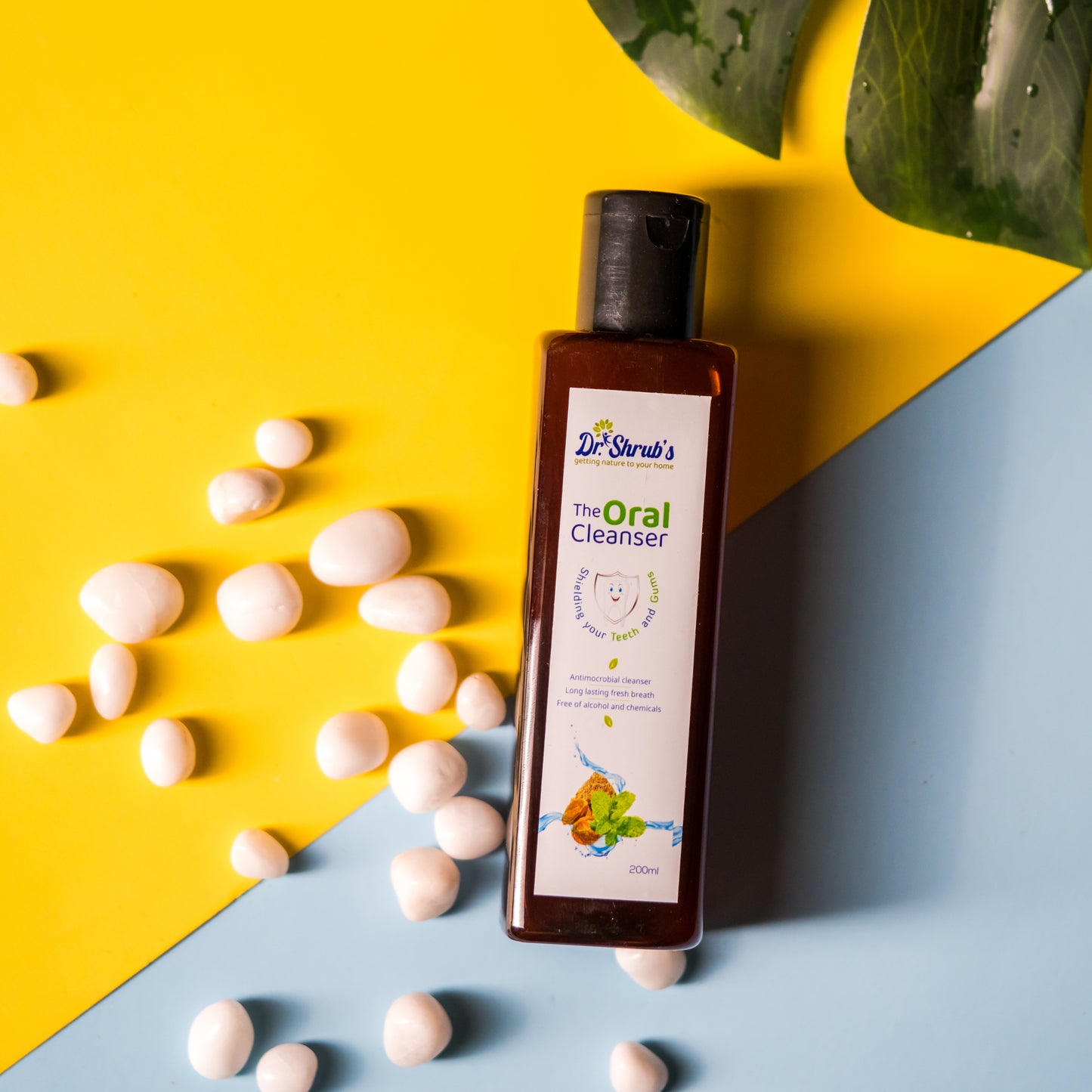 mouthwash for oral care; alcohol free mouthwash; mouthwash for bad breath; mouthwash; mouthwash for kids; mouthwash dispenser; mouthwash dispenser with cup; natural mouthwash; ayurvedic mouthwash; herbal mouthwash; fluoride free mouthwash; SLS free mouthwash; mouthwash for sensitivity; mouthwash for bleeding gums; perfora mouthwash; best mouthwash in India; mouthwash for daily use; dentist recommended mouthwash; plant based mouthwash; mouth freshener liquid