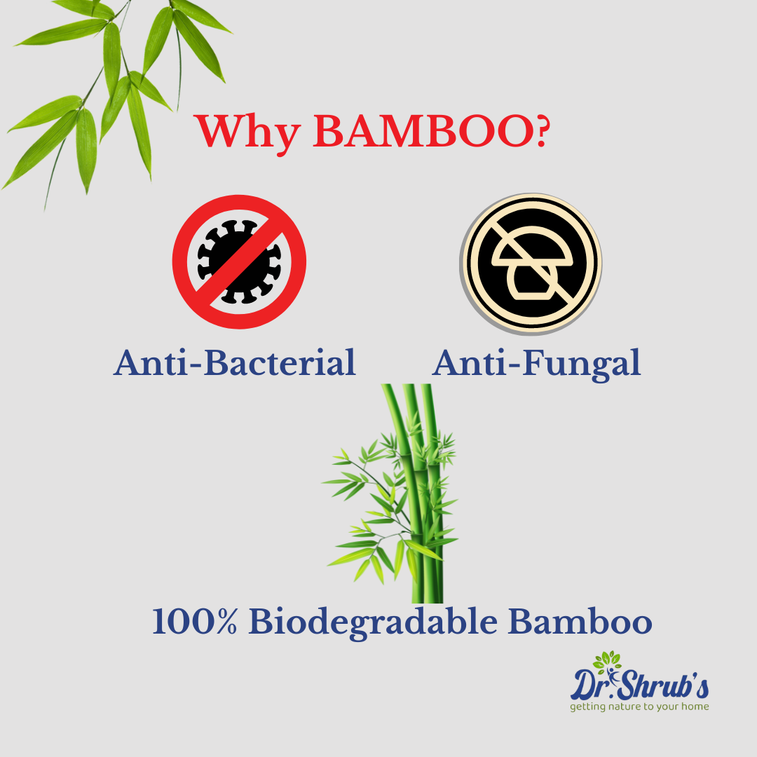 why bamboo for oral care
